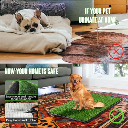 Artificial Fake Dog Grass Pad with Tray 20 x 25 Inches, 4-Layer Guard to Stop Leakage/Stink/Mess for Puppy Health, Reusable Washable Pee Pads for Dogs, Potty Training Dog Litter Box for Indoor Outdoor Artificial Fake Dog Grass Pad with Tray 20 x 25 Inches, 4-Layer Guard to Stop Leakage/Stink/Mess for Puppy Health, Reusable Washable Pee Pads for Dogs, Potty Training Dog Litter Box for Indoor Outdoor