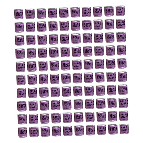 �j�k�j�b�l�r 100 �Z�b�g ���̑��� ���̑������� �Ђȗp 2026, �p�[�v���x���M�[