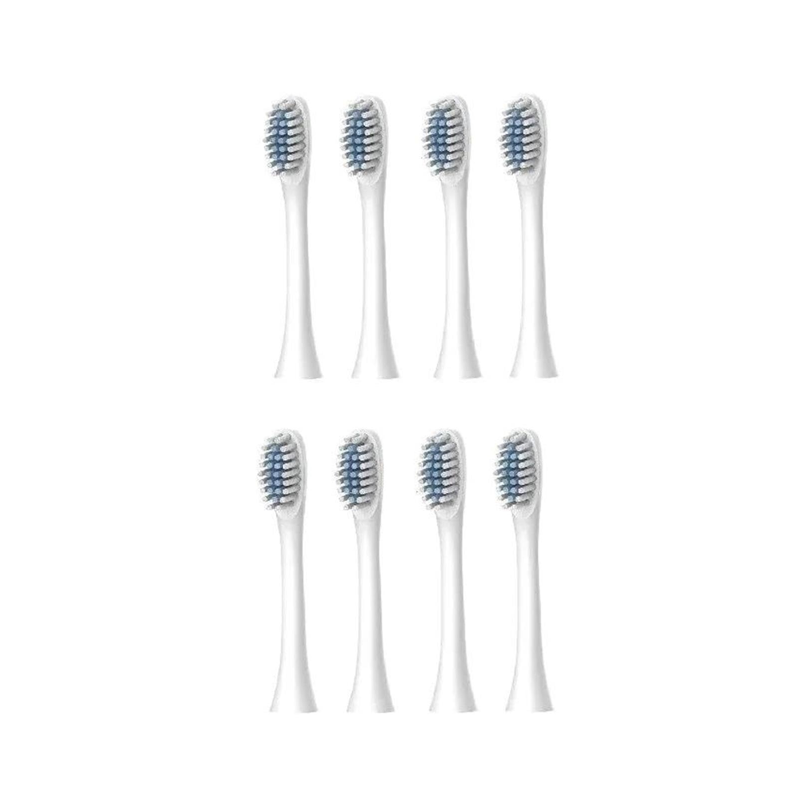 Testine Di Ricambio Per N101 N100 N105