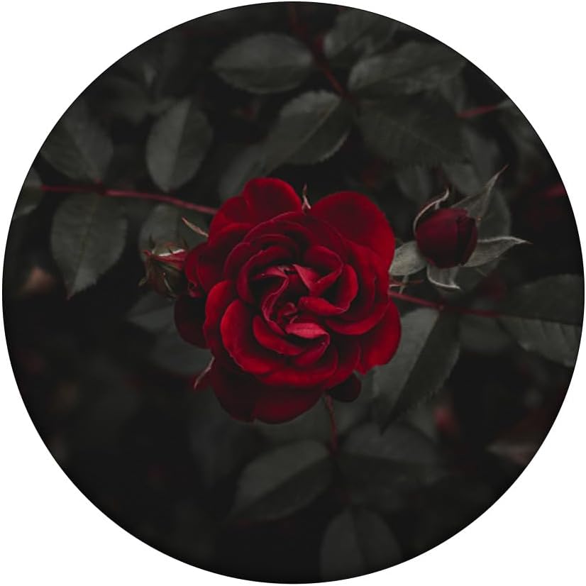 Red Rose PopSockets Adhesive PopGrip - Image 3
