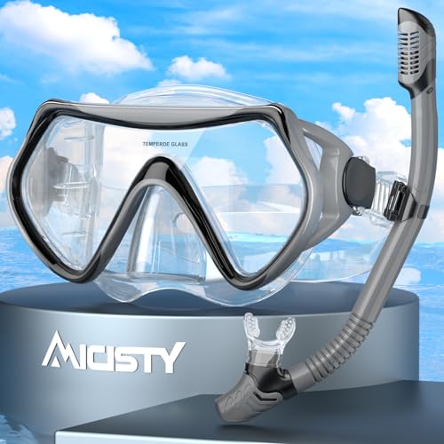 Schnorchelset Erwachsene,Schnorcheln Set-Erwachsene Taucherbrille 180° Panorama Anti-Fog Schwimmbrille Tempered Glas Tauchgerät Maske Verstellbares Silikonband für Schnorcheln Schwimmen