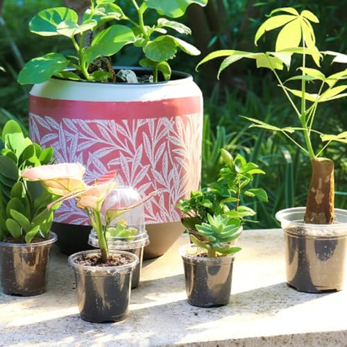 Tiestos transparentes para decorar terrazas y salones con flores 5