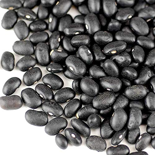 Organic Black Turtle Beans -2.5 Lb- Called Black Bean & Spanish Black Bean - Seed Sprouting Sprouts, Cooking, Food Storage