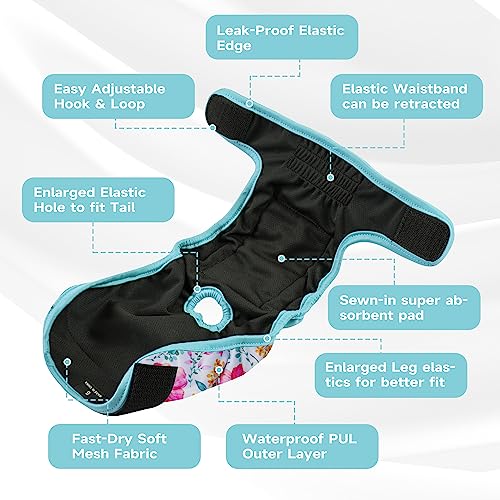 Image of Paw Legend Washable Reusable Female Dog Period Diapers for Heat Doggie Puppy Diapers for Female Dogs (3 Pack, X-Small)