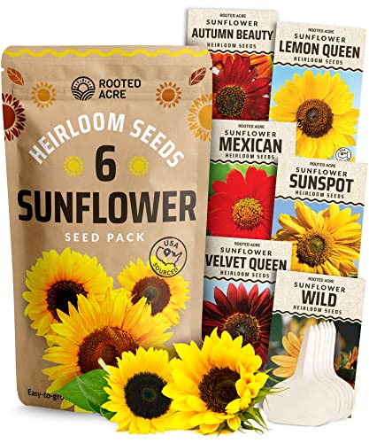 6 Sunflower Seeds For Planting - Non-Gmo, Sunflower Seeds For Outdoor Flower Garden - High Germination Rate Heirloom Seeds - Autumn Beauty, Lemon Queen, Mexican, Velvet Queen And More #TOP28