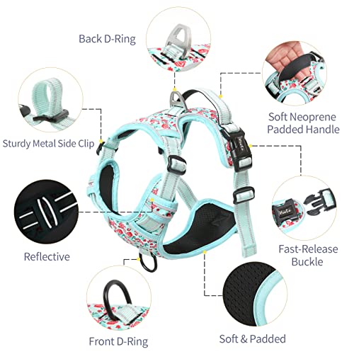 HEELE Pettorina Cane Taglia Grande con Motivo