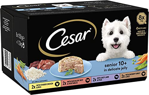 CESAR Senior 10+ in Delicate Jelly 3x 8x150g - Image 5