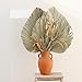 Luofus - Éventail naturel de palmier séché - Plante de bricolage - Décoration murale - Décoration de mariage