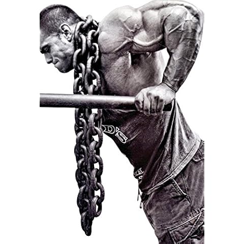 Weight Lifting Steel Chains 28 to 60lbs ((2) 5/8" x 6') Cover