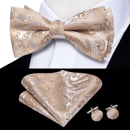 Image of Dubulle Mens Paisley Striped Bowtie Set Pre-tied Bowtie for Men and Pocket Square Set Wedding Business