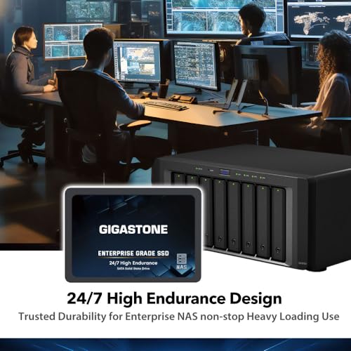 Gigastone Enterprise - SSD NAS de 512 GB (paquete de 2) 24/7, servidor empresarial de alta resistencia Homelab, almacenamiento en red, caché RAID SATA III de 2.5 pulgadas, unidad interna de estado