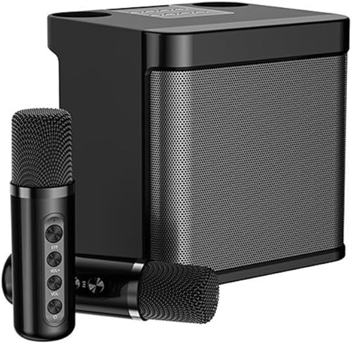 DAUTAI Altavoz portátil de karaoke, micrófono de karaoke para máquina de cantar, cuatro unidades de sonido con doble tarjeta de sonido inalámbrica disponible en Yaxa Venezuela