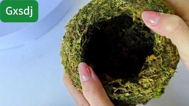 Gxsdj 2pcs Crested Gecko Hide,Reptile Mossy Caves Hideout,Leopard Gecko Humid Hide,Natural Moss Cave Hiding Decor Tank Accessories for Reptiles, Amphibians,Invertebrates,Lizard,Frog - image 8