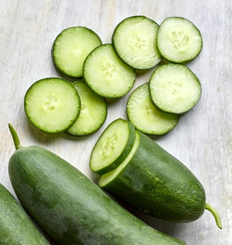 Burpee Sweet Success Slicing Cucumber Seeds 20 Non-GMO seeds