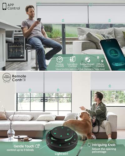 Smart Curtain Motor with Remote