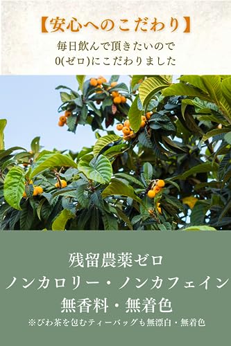 ハナタカラフーズ びわ茶 2g×30包