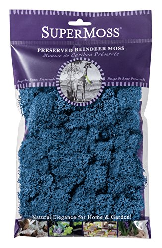 SuperMoss 21786 Reindeer Moss Preserved Black Appx. 3 lb Bulk Case product thumbnail 17