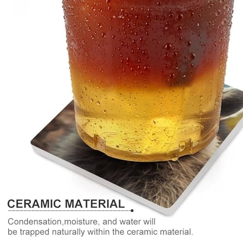 Dessous de verre en céramique premium avec support liège isolant et antidérapant