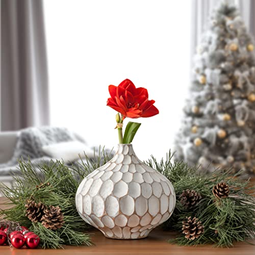 Torre & Tagus Carved Divot Dimple Resin Round Bubble Teardrop Vase Contemporary Modern Farmhouse Chic Decor Sculpture For Living Room Dining Area Fireplace Mantel Home Office, White #TOP6