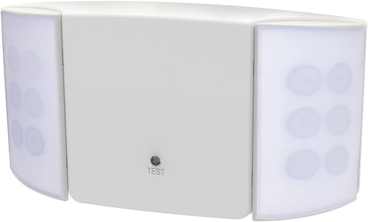 天然 B品 瑕疵天然 B品 瑕疵 Z－256－1 蘭本体（B） | 製品詳細