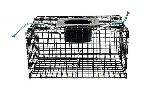 Ketcham Supply PVC Coated Wire Mesh Small Green Crab Trap