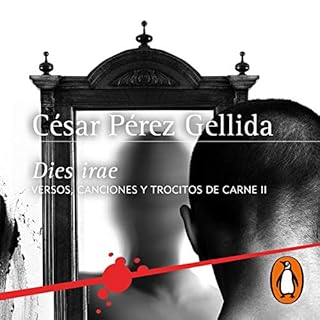 Dies irae [Day of Wrath] Audiolibro Por C&eacute;sar P&eacute;rez Gellida arte de portada