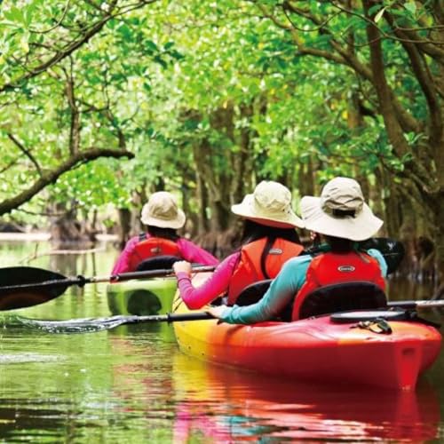 西表島マングローブカヌーツアー 〜亜熱帯の自然を半日で満喫 嬉しい昼食付き![指定ホテル送迎選択可/石垣島発]071-a007