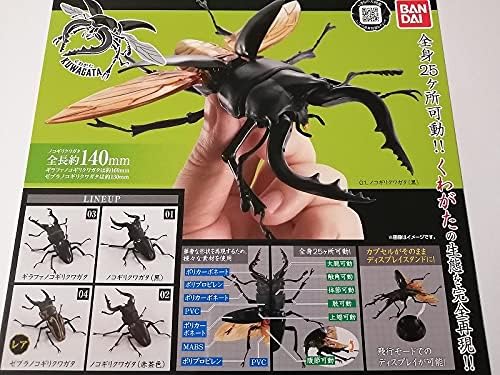 Amazon いきもの大図鑑 くわがた 01 全4種フルコンプ ゼブラノコギリクワガタ ギラファ クワガタ ガシャポン 可動 カプセル玩具 おもちゃ