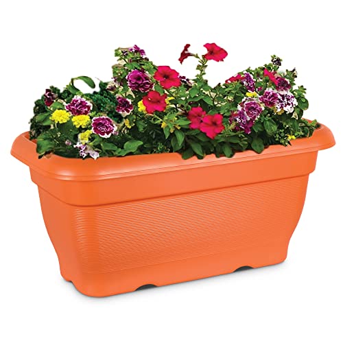 MILTON Rectangle Blossom Mate 2 Plastic Planter, 25 litres, 1 Piece, Brown | Flower Pot | Balcony | Garden Planter | Plant Container | Gamla | Easy to Carry | Recyclable | Portable | Indoor | Outdoor