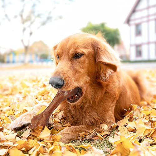 RETALPQ Flirt Pole for Dogs,Interactive Dog Toys,Dog Toys Suitable for Medium and Large Dogs, Dog Toys for Small Dogs. - Image 4