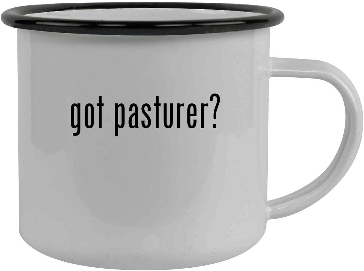 got pasturer? - Stainless Steel 12oz Camping Mug, Black