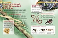 Zmei 5353057651 Book Cover