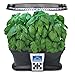 AeroGarden Pesto Basil Seed Pod Kit (7-pod)