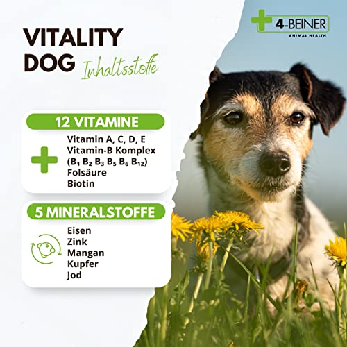 4-BEINER Vitality-Dog – Vitamine für Hunde & Mineralstoffe, 100 Tabletten