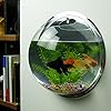 Product Photo 9