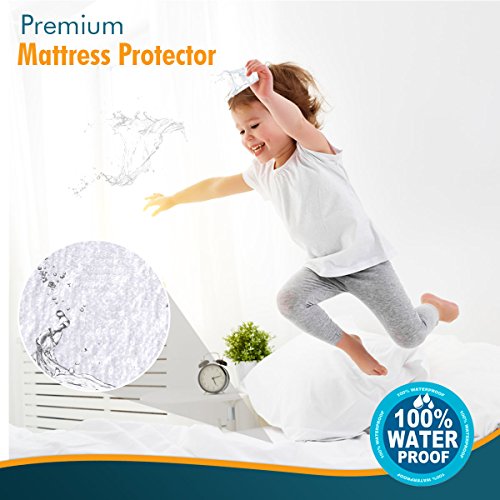 Plushdeluxe Queen Cotton Mattress Protector – Waterproof Double Mattress Protector With Fitted Sheet Design – Soft & Durable Mattress Pad Protector For Noiseless Sleep – Easy To Install And Clean #TOP3