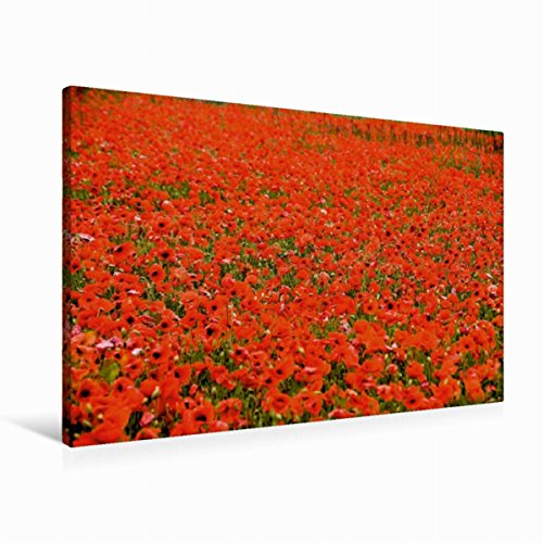 Preisvergleich Produktbild CALVENDO 2017 Termine und Mohn