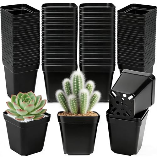 BUOAZR Godets pour Semis Ø 5.5x5.5cm, Lots de 100 unités, Pots de Plantes en Plastique avec Trou de Drainage, Pots en Plastique Noir pour intérieur et...