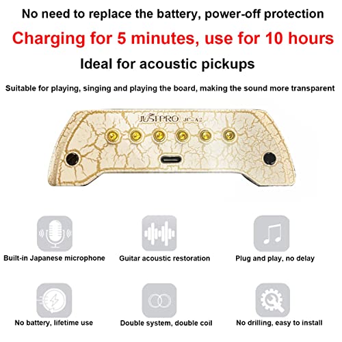 Sdyqd JC A2 Hum-Canceling Soundhole Pickup thumb #1