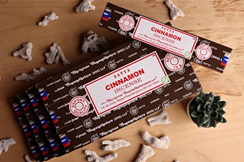 Earth Satya Cinnamon Incense Sticks 15 Gms (Pack Of 12) (Green Certified) Indian Perfumed Hand Rolled Agarbatti Perfect For Worship,Relaxation, Medication. #TOP3