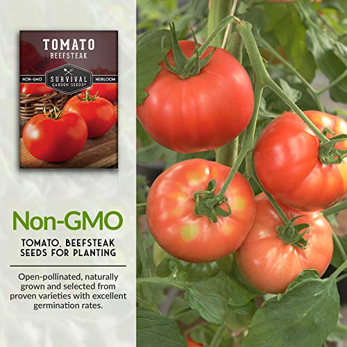 Survival Garden Seeds - Beefsteak Tomato Seed For Planting - Packet With Instructions To Plant And Grow Delicious Tomatoes In Your Home Vegetable Garden - Non-Gmo Heirloom Variety - 1 Pack #TOP16