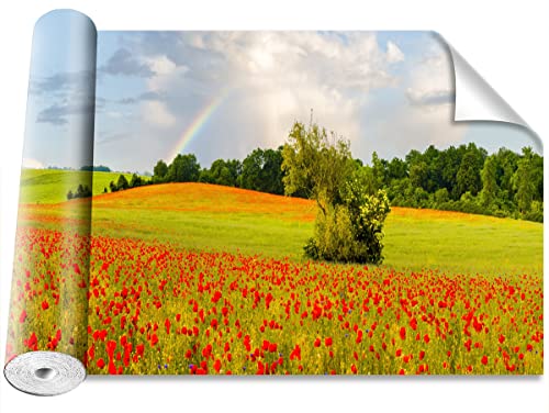 Papier peint auto-adhésif arc-en-ciel protection murale lavable Tulup - 2