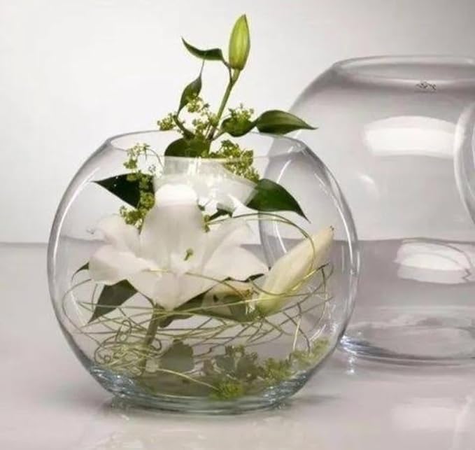 CAS Glass Fish Bowl (Neck Collar Less (Glass), 8 INCHES) (B0CY8TFF3R) Amazon Price History, Amazon Price Tracker