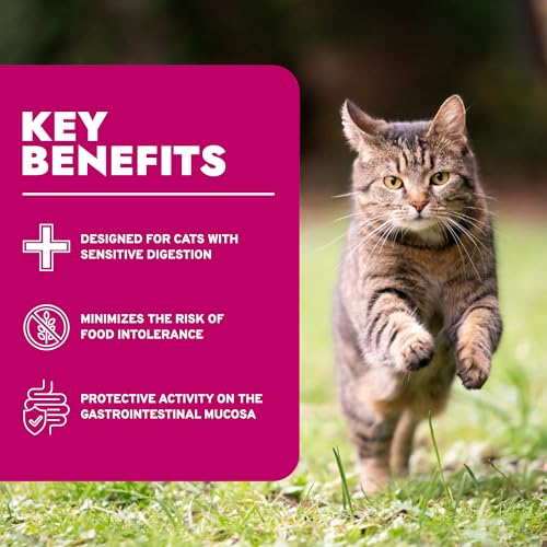Forza10 - Cat Food, Limited Ingredient Cat Food for Sensitive Stomachs and Digestive Support, Non-GMO, Fish Flavor, Made in Italy (0.88 lb)