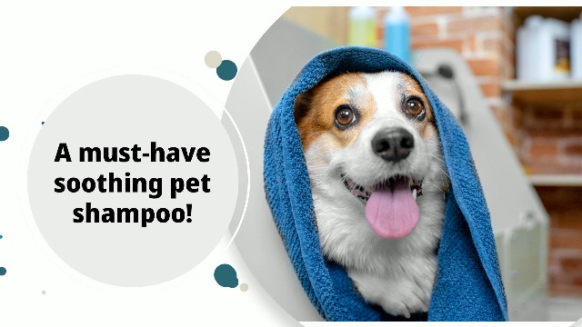 EQyss Micro-Tek Pet Shampoo (16 Ounce) - Stops Scratching, Itching, Biting, or Licking Hot Spots - image 6