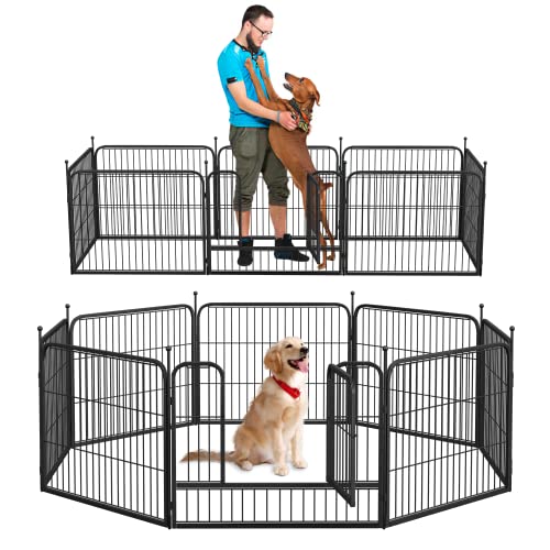 NeuType 8pl K[ftFX 24C` x 21tB[g K[f{[_[ tFX ^tFX K[ftFX p ̏  oA AEghA peBIpAVo[