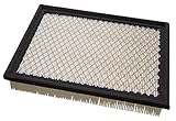 Champion CAP8747 Engine Air Filter