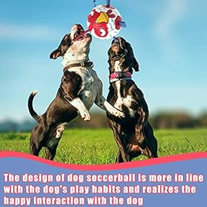   Chicken-Dog-Toys-Soccer-Ball-with-Straps-Interactive-Toys-for-Tug-of-War-Puppy-Birthday-Gifts-Dog-Water-Toy-Durable-Balls-for-Dogs8-Inch