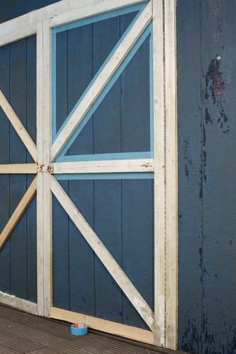 Tesa 56250-00004-00 - Nastro adesivo per