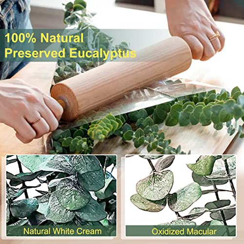 Bulk Package 30 Pcs Real Dried Eucalyptus Plant Large Stems For Shower, 100% Natural Fresh Eucalyptus Leaves,17'' Hanging Eucalyptus For Self-Care Shower Leave Bundle, Arrangement, Wedding, Home Decor #TOP5